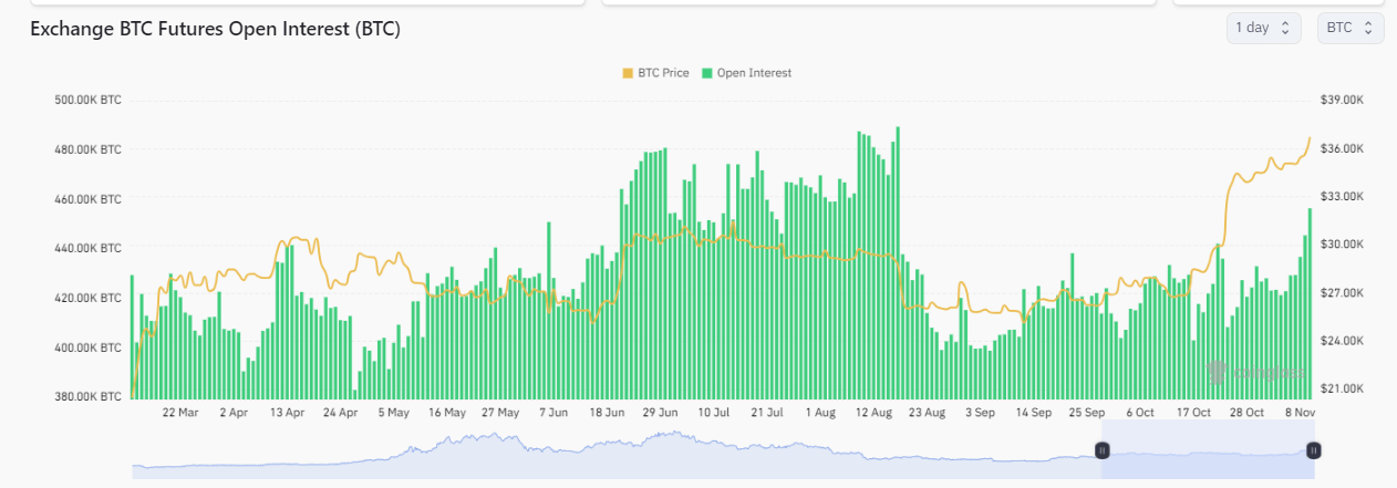 Bitcoin Futures Open Interest: (Source: Coinglass)