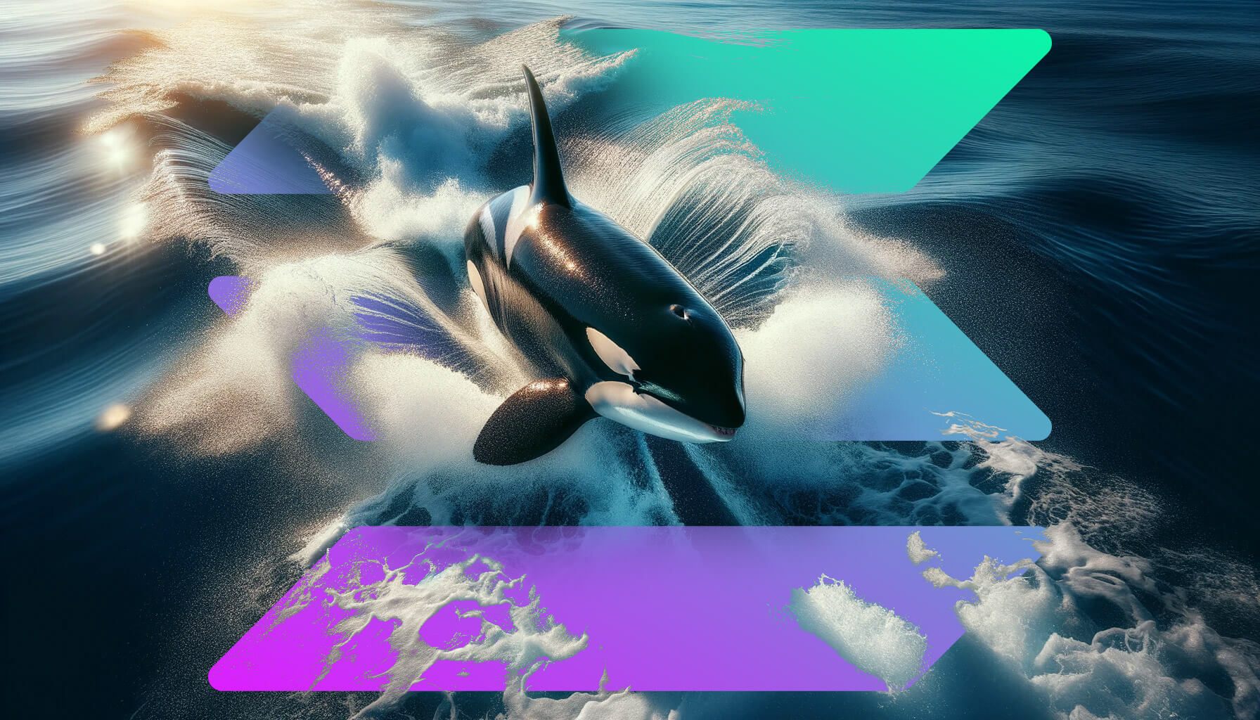 A month in review: Solana’s DeFi protocols break new ground