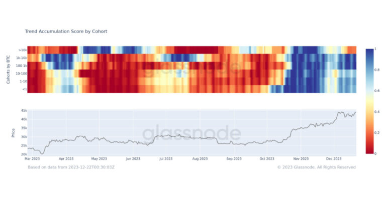 bitcoin whales accumulation trend