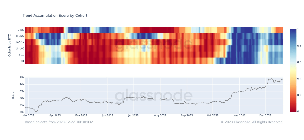 Accumulation Trend Score by cohort: (Source: Glassnode)