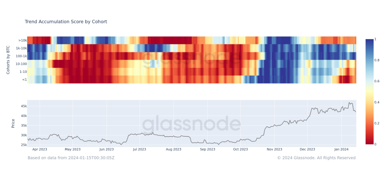 Accumulation Trend Score by cohort: (Source: Glassnode)