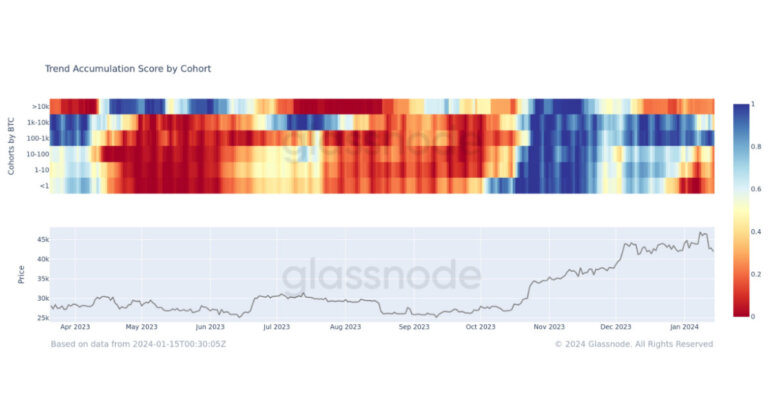 Bitcoin accumulation trend hits lowest point since October, signaling widespread distribution shifts