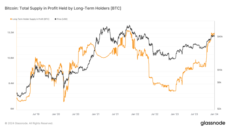 Long-term Bitcoin holders demonstrate market resilience with a large majority in profit