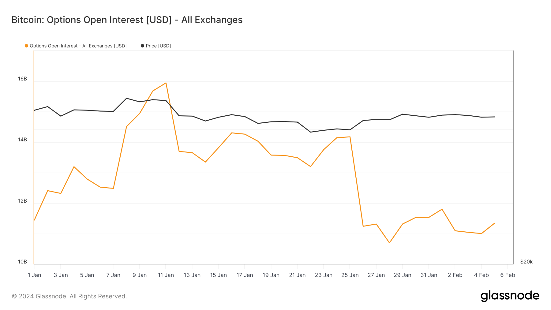 bitcoin options open interest ytd