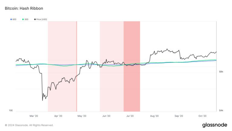 What is the anticipated post-halving Bitcoin hash rate correction?
