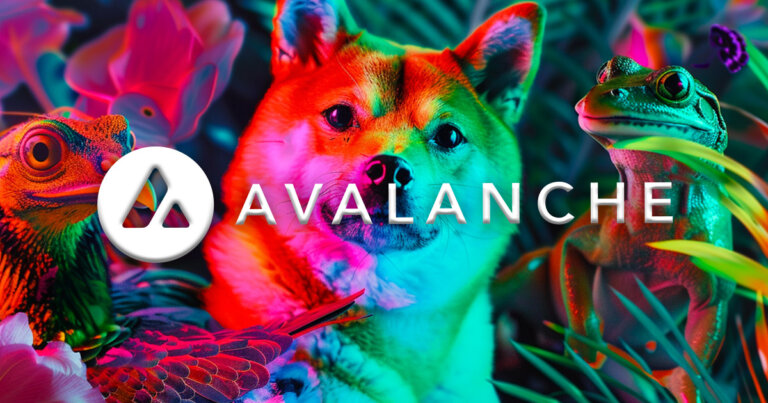 Avalanche Foundation buys self-proclaimed ‘completely useless’ memecoins for treasury