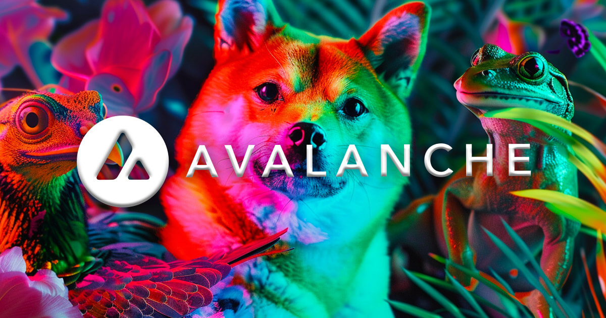 Avalanche Foundation buys self-proclaimed ‘completely useless’ memecoins for treasury