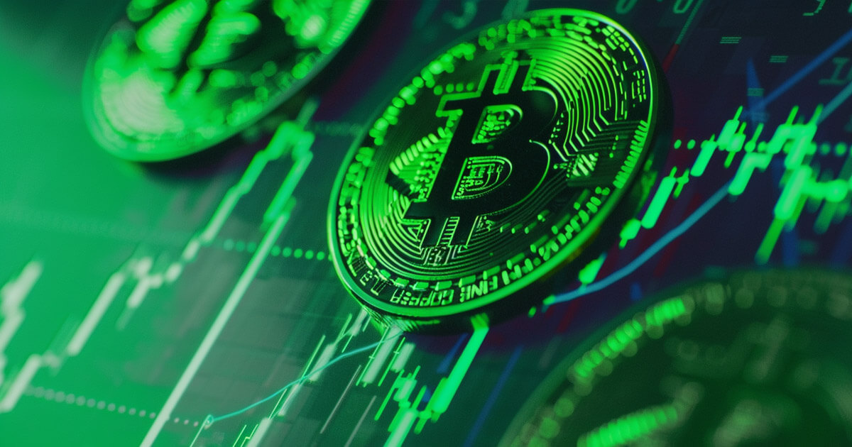 bitcoin addresses entities in profit