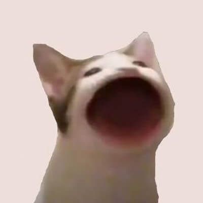Popcat (SOL)