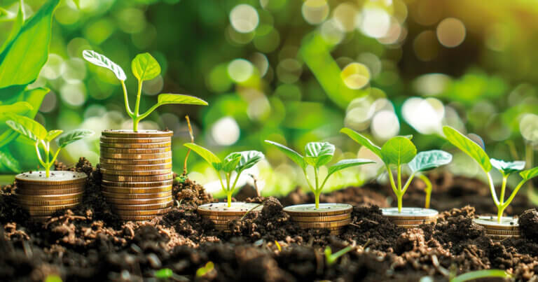 Navigating the Web3 startup landscape with limited funds