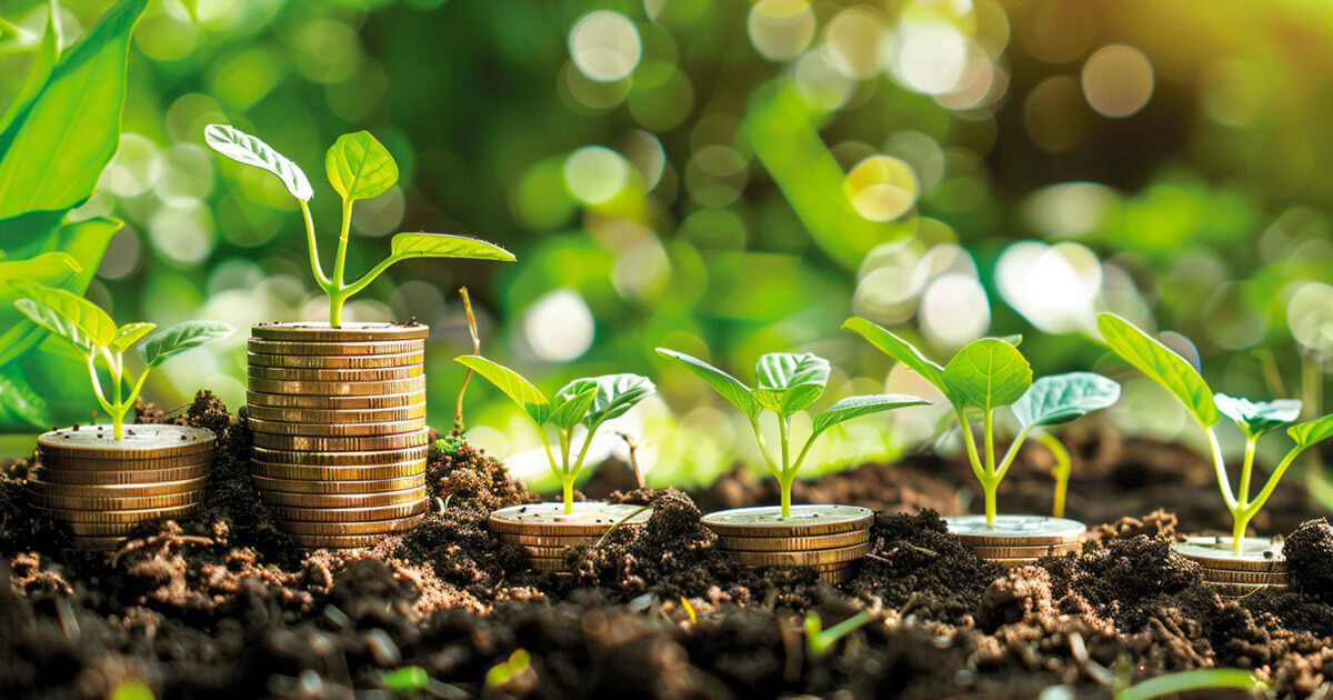 Navigating the Web3 startup landscape with limited funds