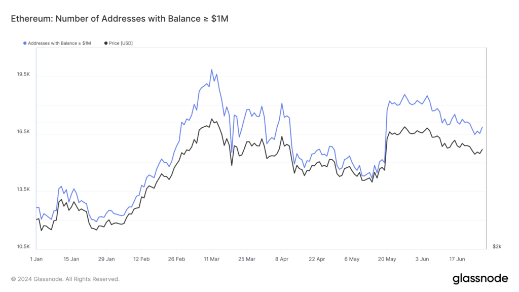 Volatile trend in Ethereum millionaire addresses highlights market dynamics in 2024