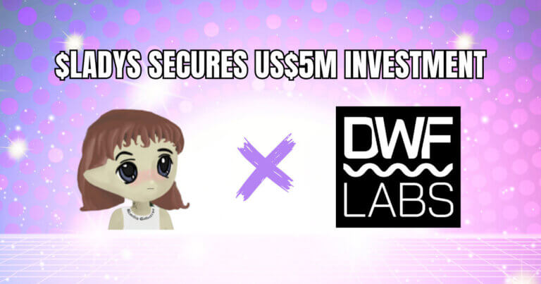 Milady Meme Coin Secures US$5 Million Investment from DWF Labs