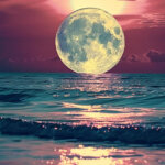 moonbeam