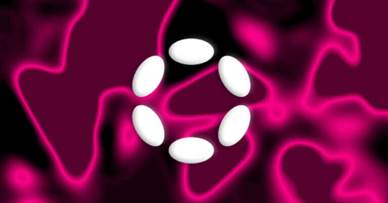 Polkadot team dismisses fears of empty treasury, touts self-sustaining model