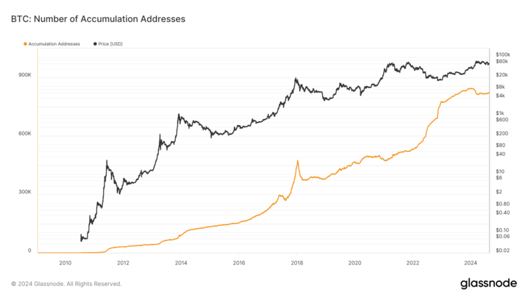 Bitcoin accumulation addresses see steady rise