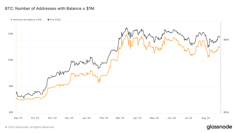 Population of crypto millionaires surges 95%, driven by Bitcoin’s rise and ETFs