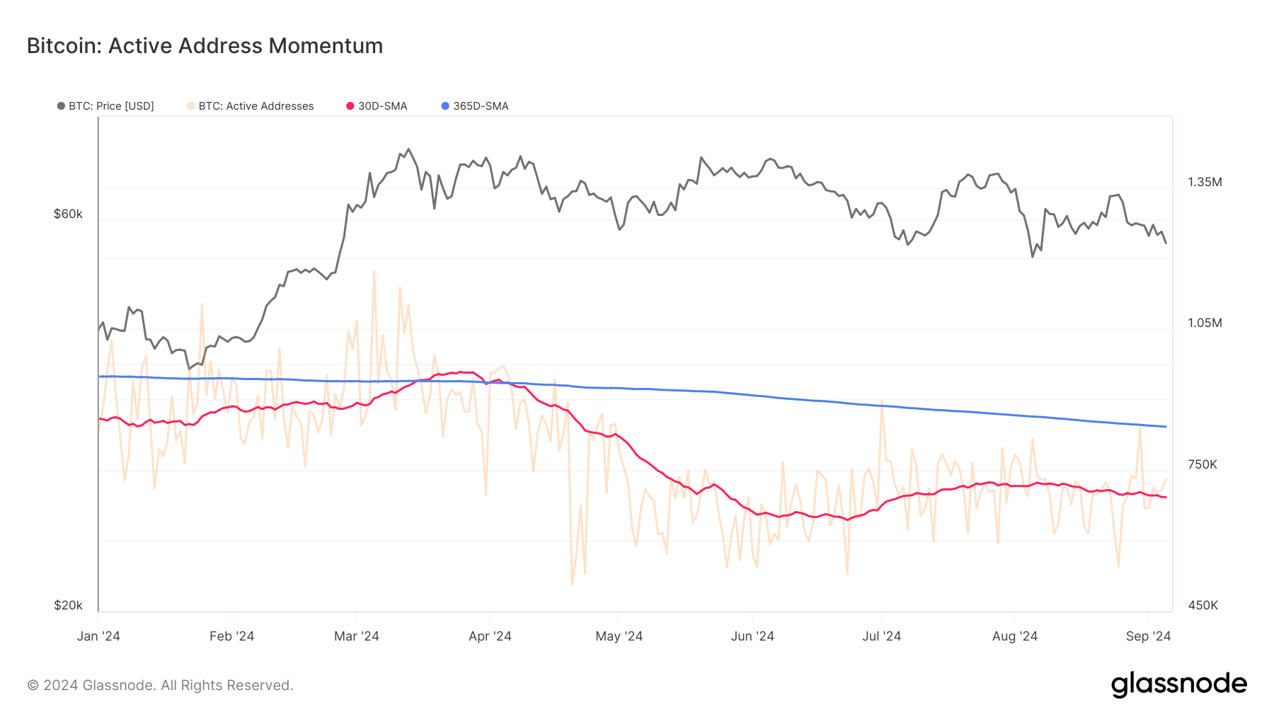 Bitcoin: Active Address Momentum: (Source: Glassnode)