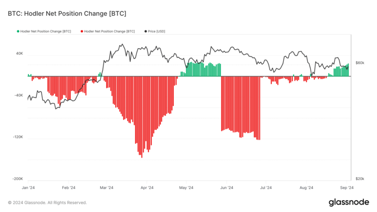 Bitcoin’s 2024 hodler net position change mirrors historical cycles, signals potential price stabilization