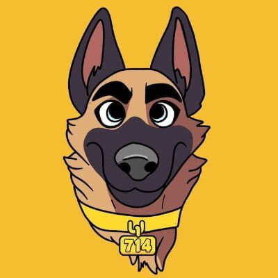 CZ’S Dog