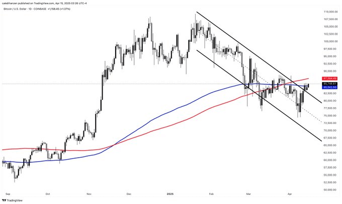 Bitcoin downtrend breakout (Source: Caleb Franzen)