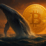 Bitfinex whale returns: Adam Back sights massive Bitcoin accumulation