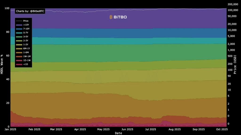 Bitcoin HODL waves