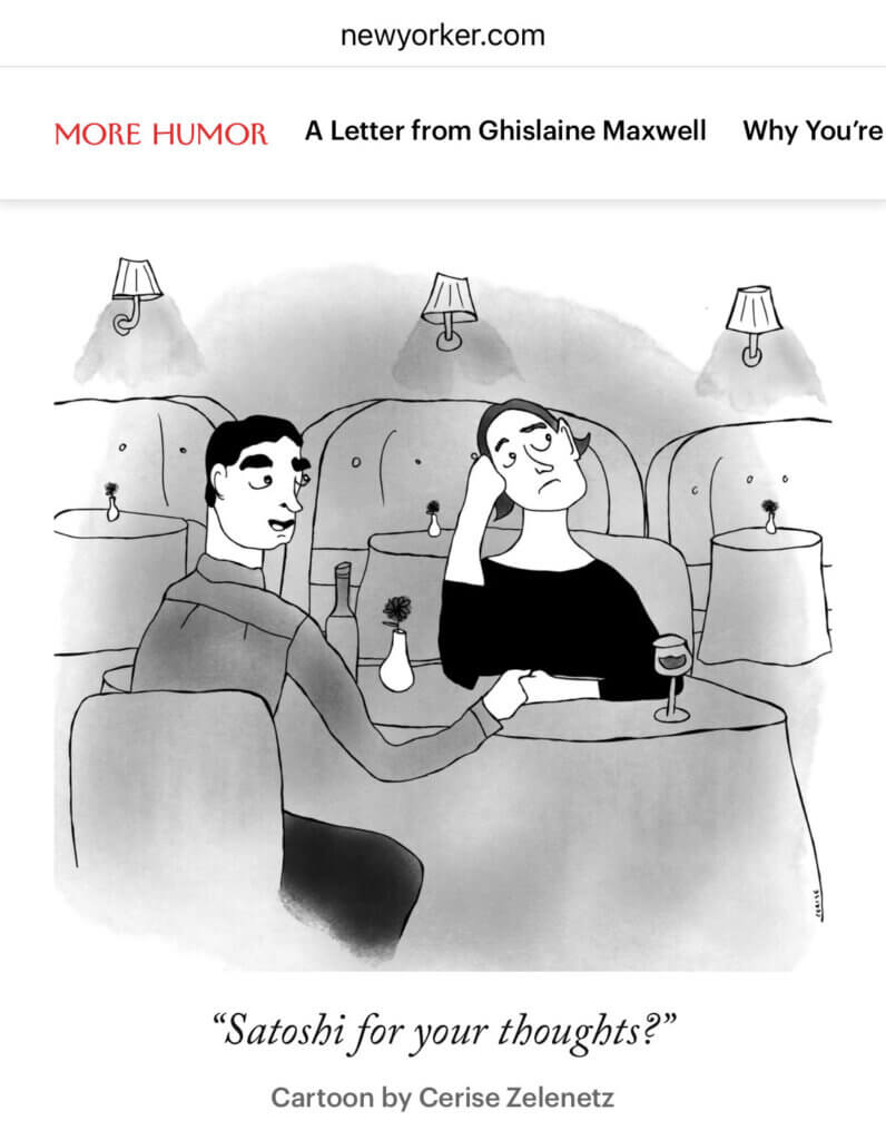 Bitcoin in Newyorker