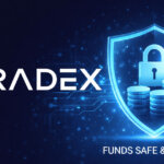 Paradex Confirms User Funds Remained Secure During Temporary Platform Outage