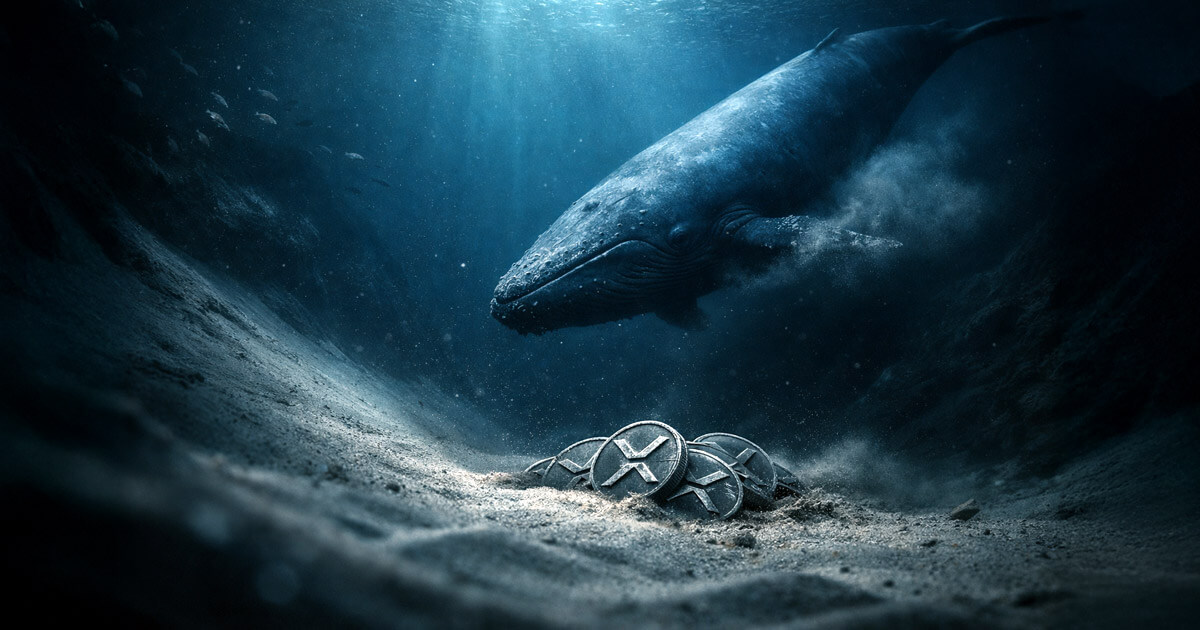 A massive whale swims toward a pile of XRP coins on the ocean floor, symbolizing large holders accumulating XRP during a market dip