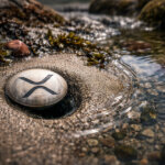 XRP token lodged in sand beside flowing water, symbolizing how XRPL avoided a vulnerability that could have drained user funds