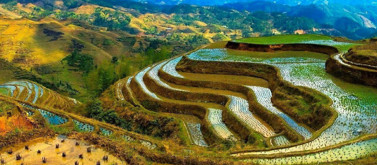 Summary: agriculture on the cutting edge