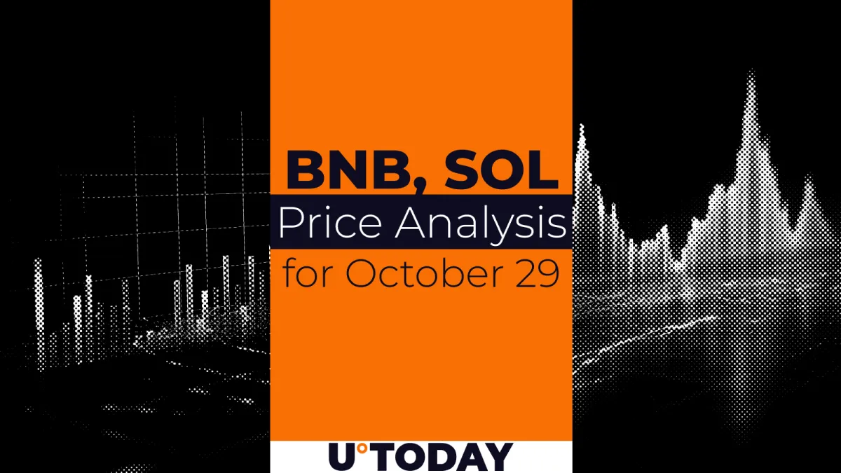 BNB and SOL Price Prediction for October 29