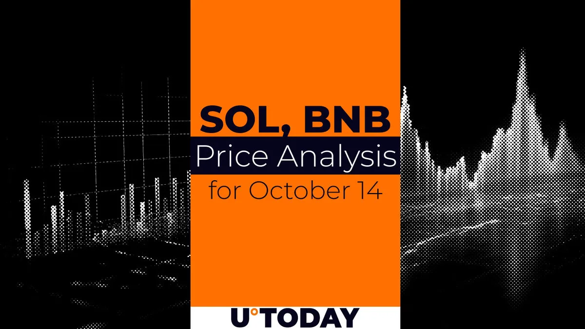 SOL and BNB Price Prediction for October 14