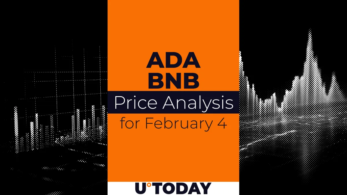 ADA and BNB Price Prediction for February 4