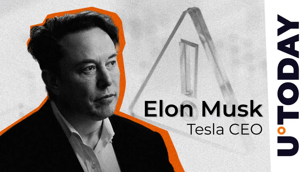 Elon Musk Stuns Community With Big Crypto Scam Warning: ‘Block Him’