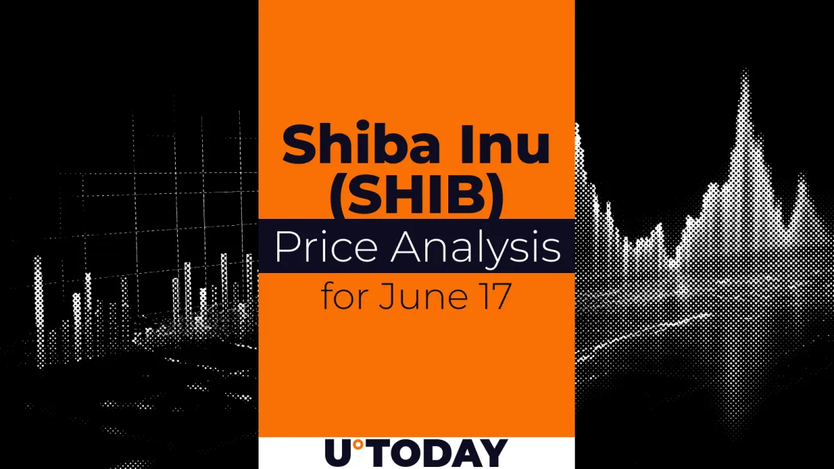 SHIB Price Prediction for June 17