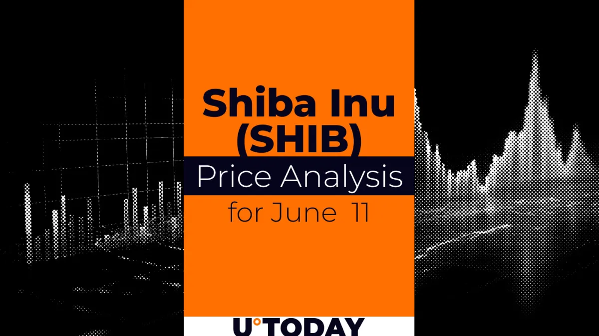 SHIB Price Prediction for June 11