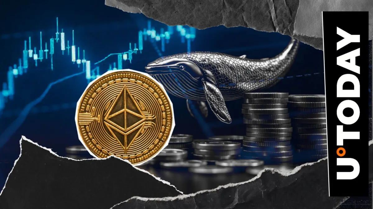 Ethereum (ETH) Whales Turn Into Sardines