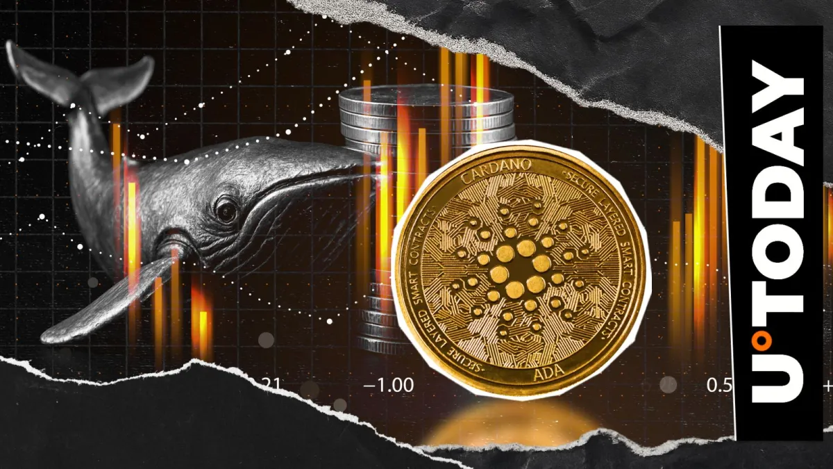 50,000,000 ADA Dumped in Past 48 Hours – Whale Sentiment Pivot?