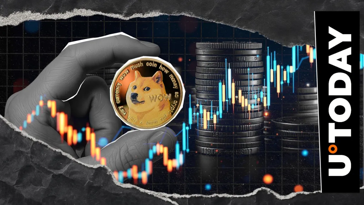 What's Next for DOGE? Director Issues Plans for Enhanced Dogecoin Utility
