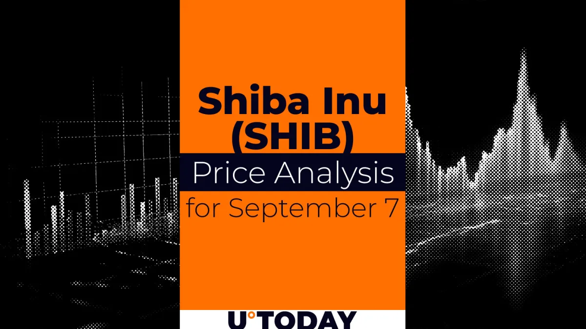 SHIB Price Prediction for September 7