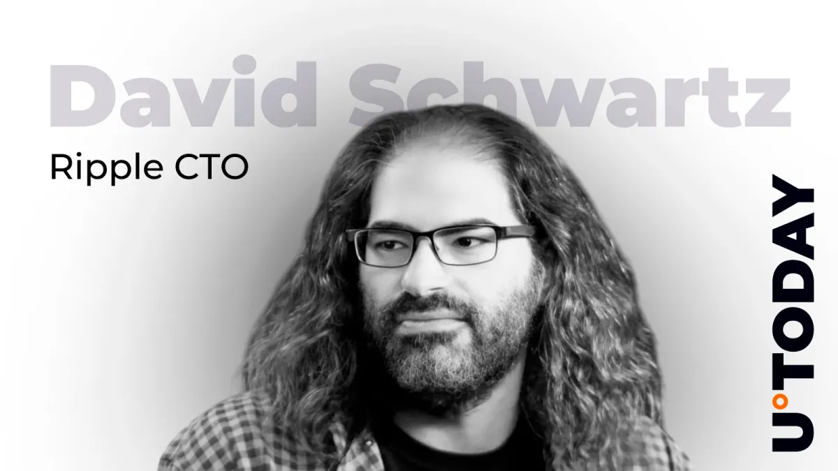 Ripple CTO Makes Rare Addition to His $190,000 XRP NFT Collection