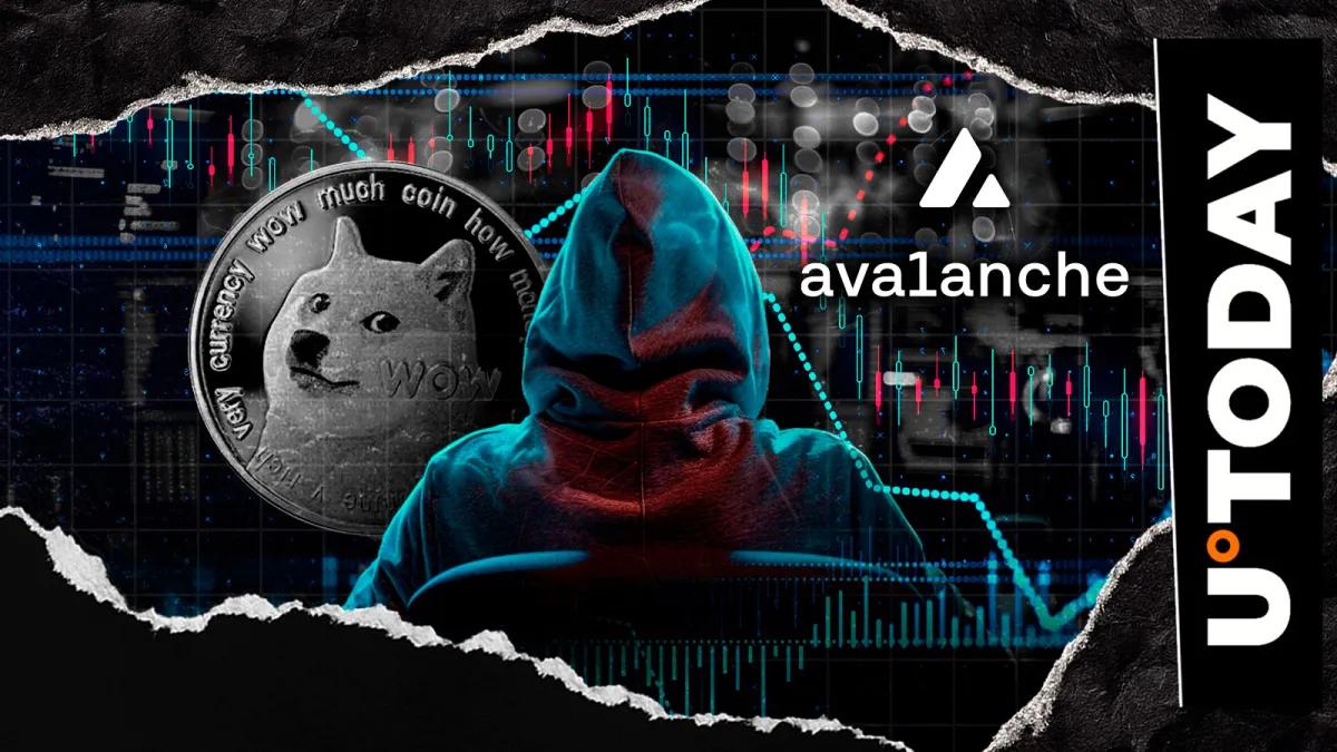 Dogecoin Founder Sounds Unusual Alarm on Avalanche