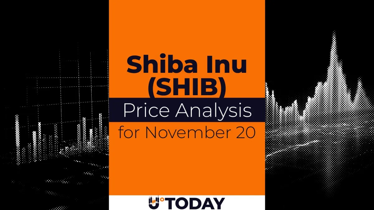 SHIB Price Analysis for November 20