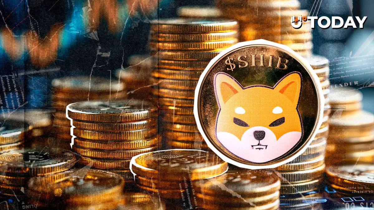 Shiba Inu (SHIB): Only 73,000,000,000 Netflows in 24 Hours Show Emerging Issues