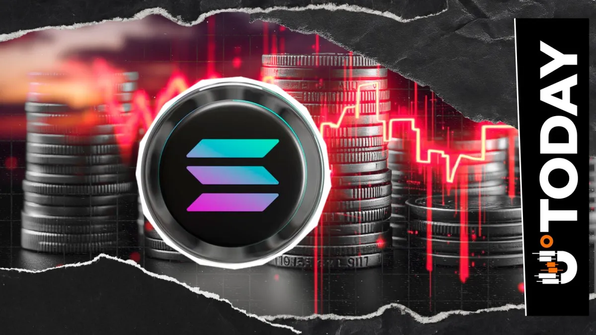 Solana Down 35% in 2025, Yet It Didn't Fail