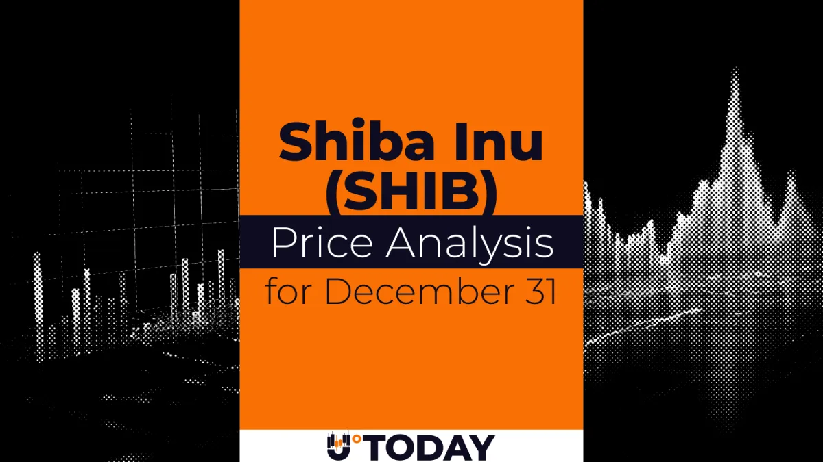 SHIB Price Analysis for December 31
