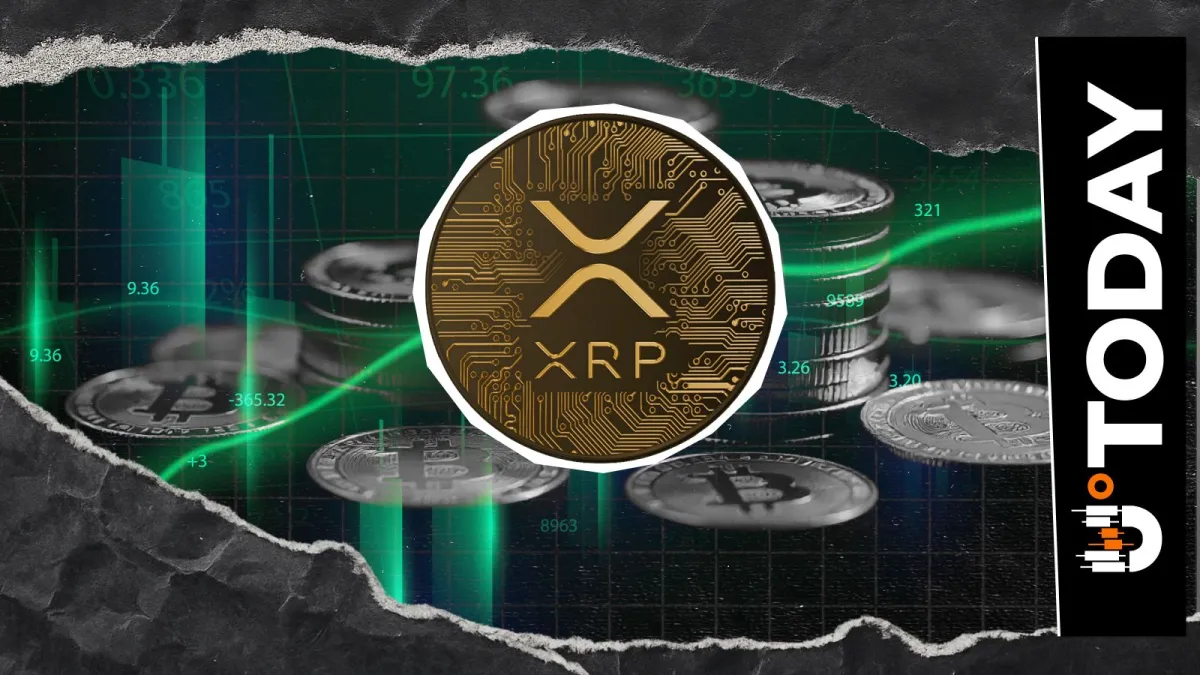 XRP Faces Brutal 11,348%  Liquidation Imbalance: What Just Happened?