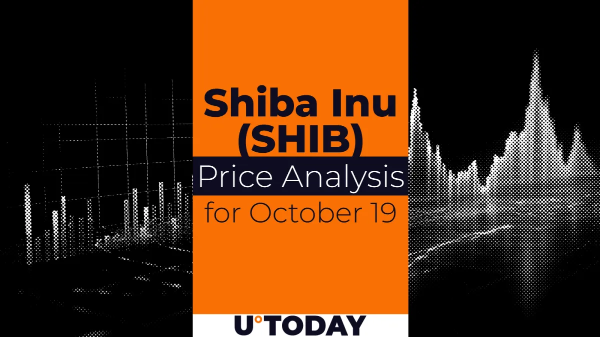 SHIB Price Analysis for February 11